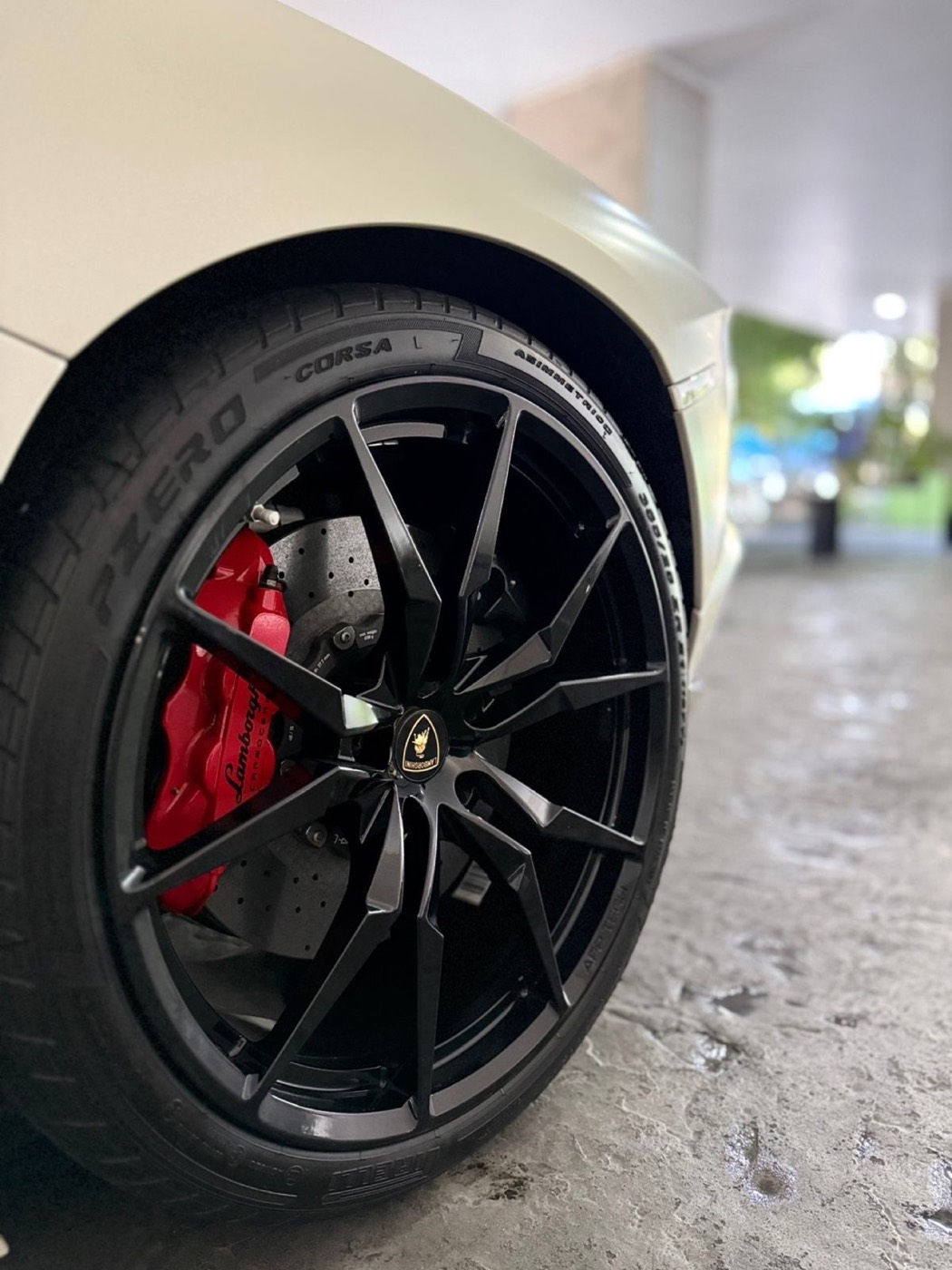 Lamborghini Aventador Pirelli Edition 2016 - 4